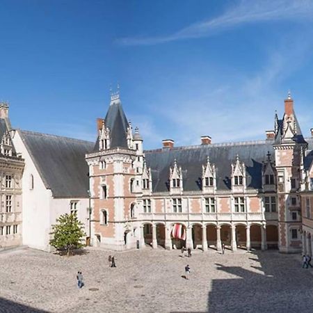 Gite Troglodyte Les Iris Villiers-sur-Loir Esterno foto