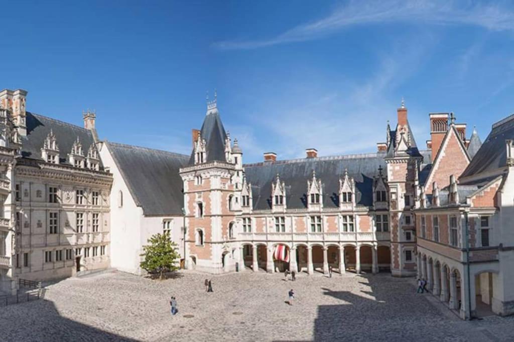 Gite Troglodyte Les Iris Villiers-sur-Loir Esterno foto