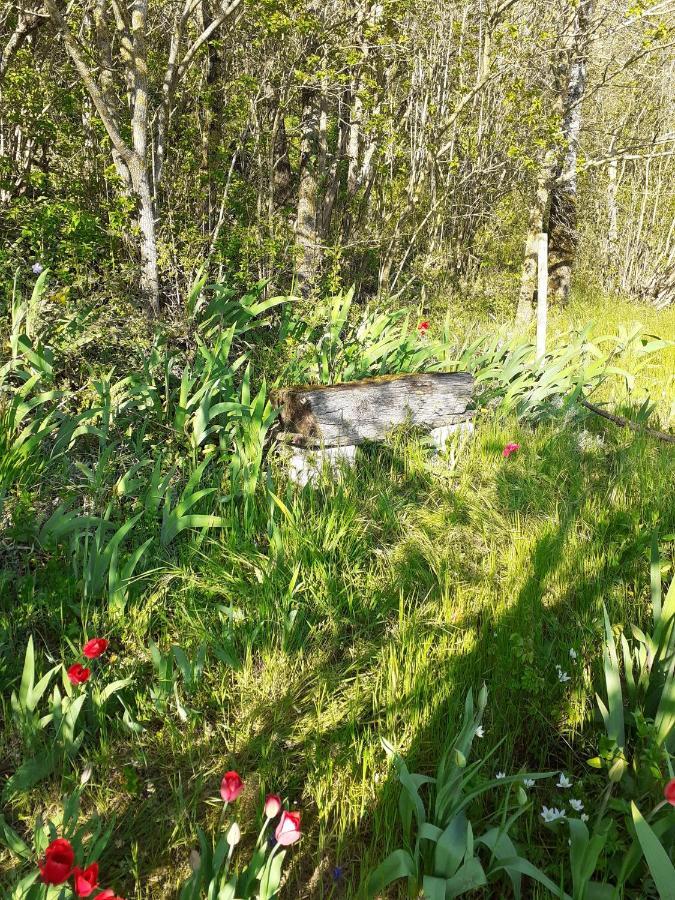 Gite Troglodyte Les Iris Villiers-sur-Loir Esterno foto